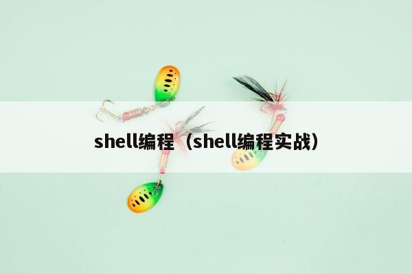 shell编程（shell编程实战）