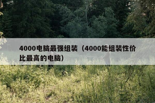 4000电脑最强组装（4000能组装性价比最高的电脑）