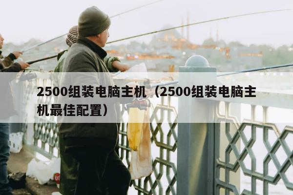 2500组装电脑主机（2500组装电脑主机最佳配置）