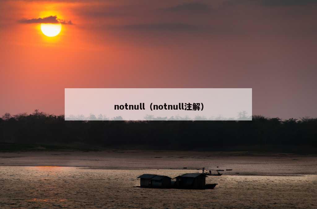 notnull（notnull注解）