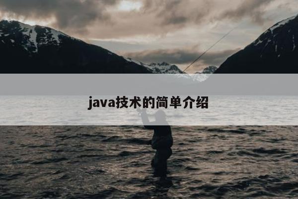 java技术的简单介绍