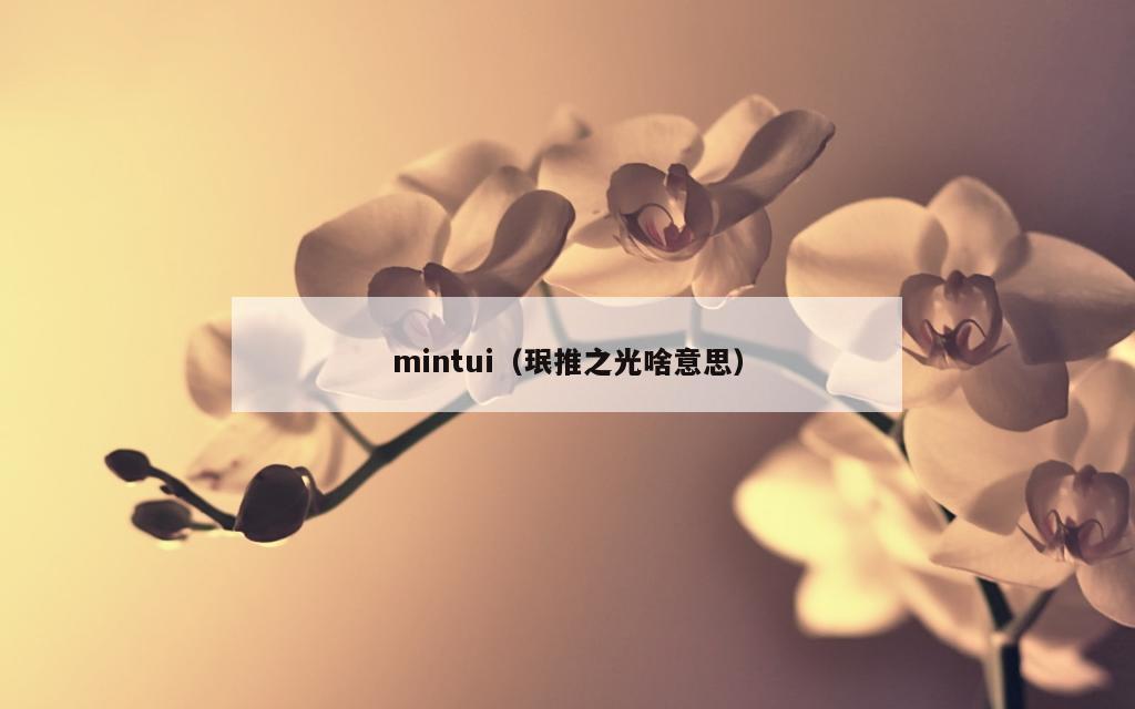 mintui（珉推之光啥意思）