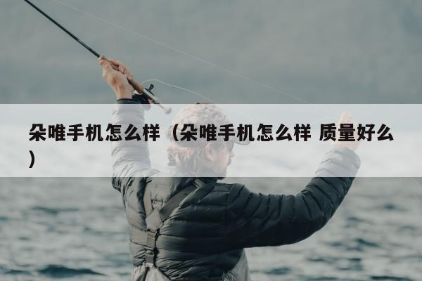 朵唯手机怎么样（朵唯手机怎么样 质量好么）