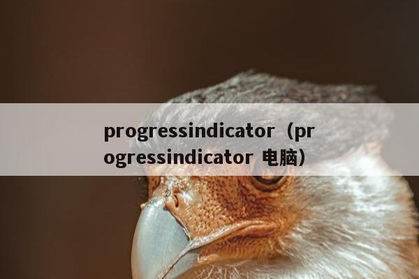 progressindicator（progressindicator 电脑）