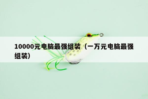 10000元电脑最强组装（一万元电脑最强组装）