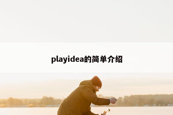 playidea的简单介绍