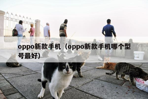 oppo新款手机（oppo新款手机哪个型号最好）