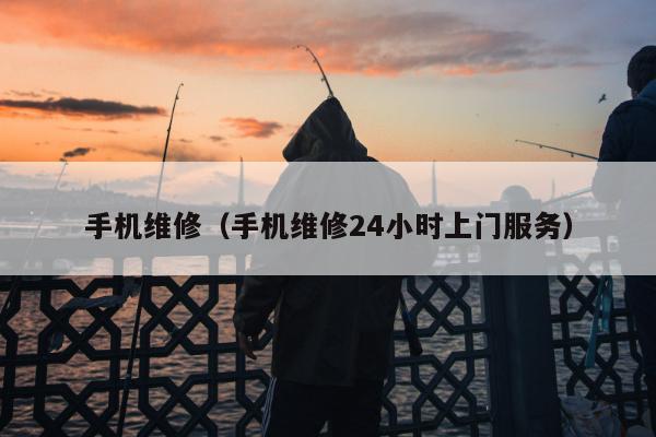 手机维修（手机维修24小时上门服务）