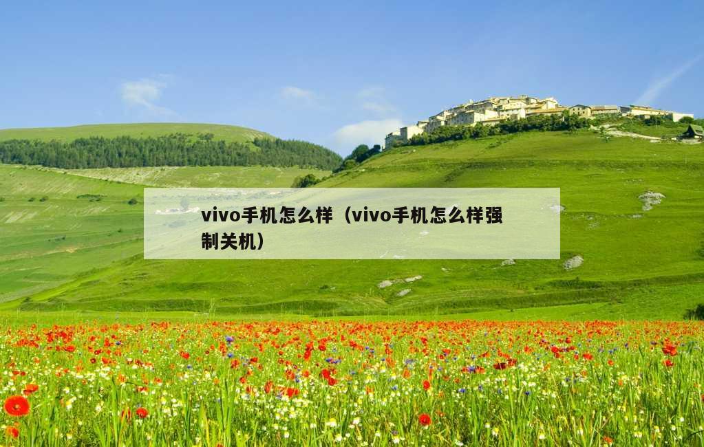 vivo手机怎么样（vivo手机怎么样强制关机）