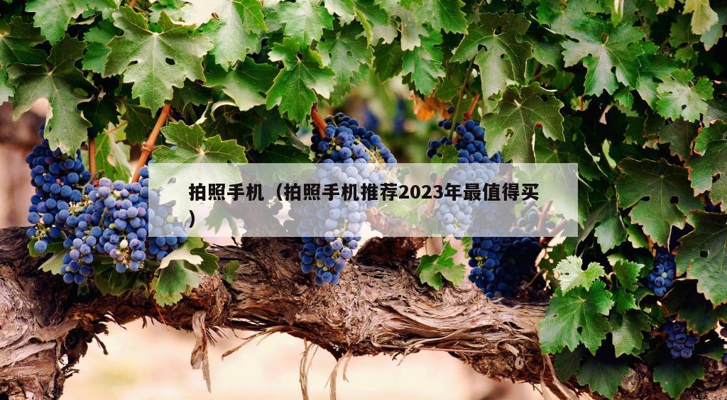 拍照手机（拍照手机推荐2023年最值得买）