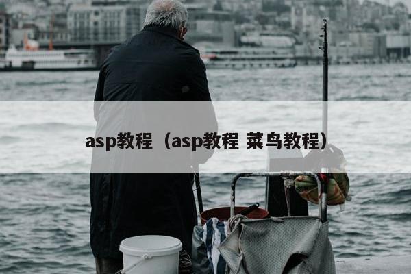 asp教程（asp教程 菜鸟教程）