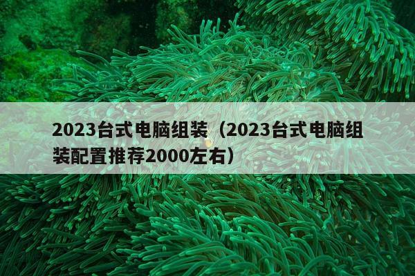 2023台式电脑组装（2023台式电脑组装配置推荐2000左右）