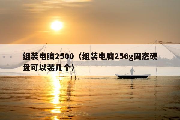 组装电脑2500（组装电脑256g固态硬盘可以装几个）