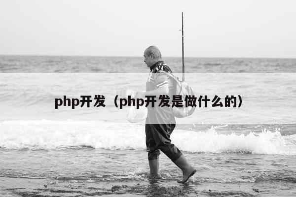 php开发（php开发是做什么的）