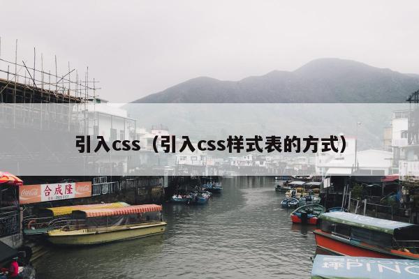 引入css（引入css样式表的方式）