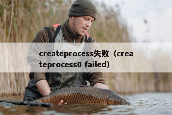 createprocess失败（createprocess0 failed）