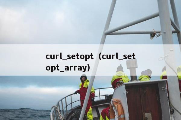 curl_setopt（curl_setopt_array）