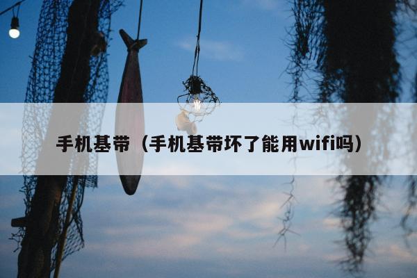 手机基带（手机基带坏了能用wifi吗）