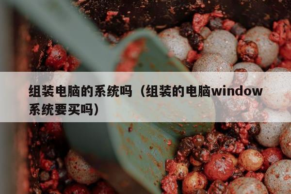 组装电脑的系统吗（组装的电脑window系统要买吗）