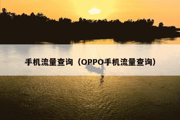 手机流量查询（OPPO手机流量查询）