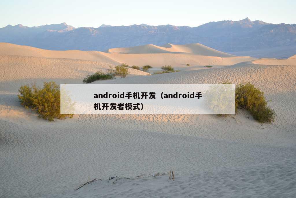 android手机开发（android手机开发者模式）