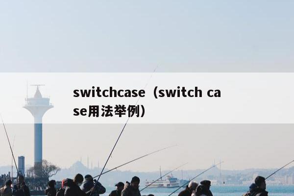 switchcase（switch case用法举例）