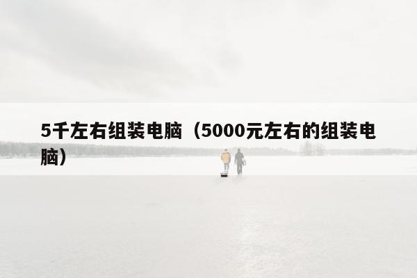 5千左右组装电脑（5000元左右的组装电脑）