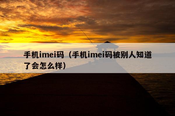 手机imei码（手机imei码被别人知道了会怎么样）