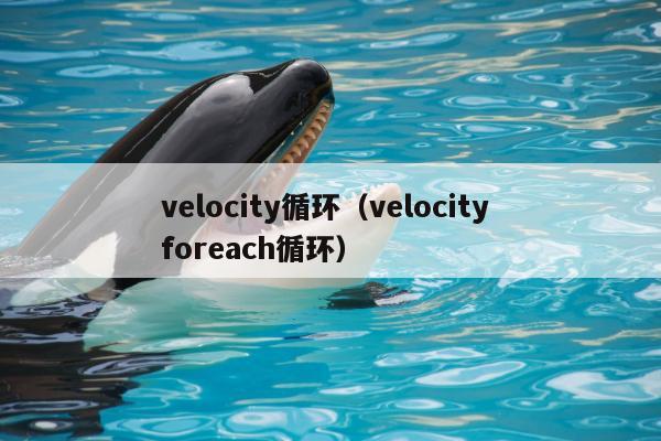 velocity循环（velocity foreach循环）