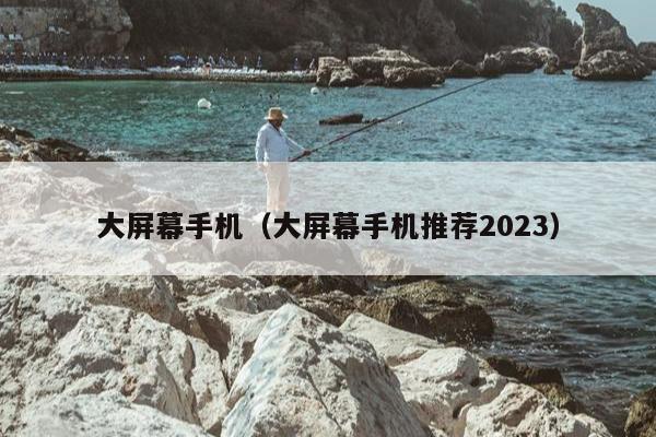 大屏幕手机（大屏幕手机推荐2023）