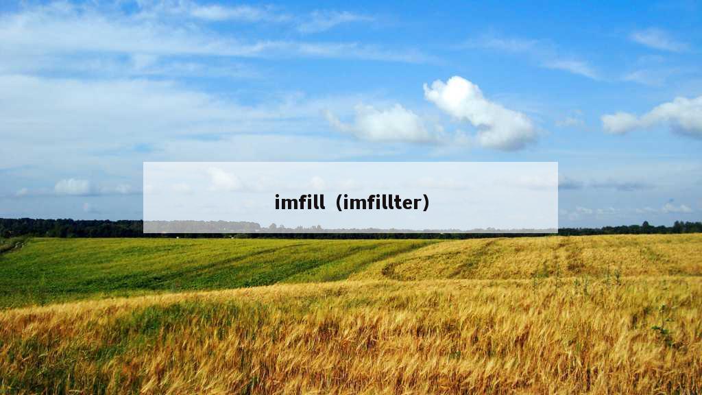 imfill（imfillter）