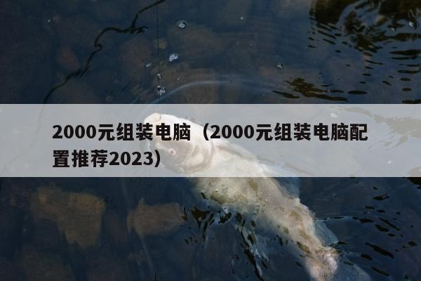 2000元组装电脑（2000元组装电脑配置推荐2023）