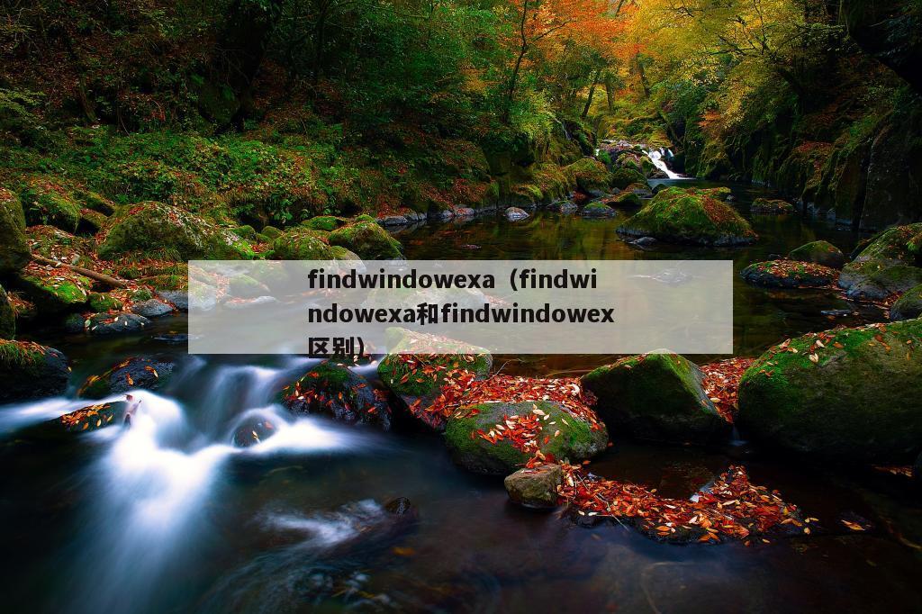 findwindowexa（findwindowexa和findwindowex区别）