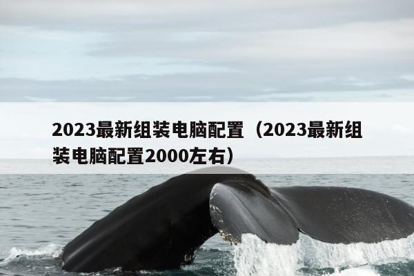 2023最新组装电脑配置（2023最新组装电脑配置2000左右）