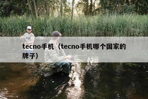 tecno手机（tecno手机哪个国家的牌子）