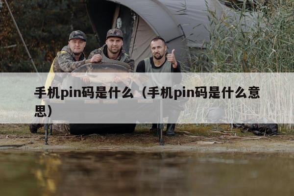 手机pin码是什么（手机pin码是什么意思）