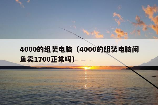 4000的组装电脑（4000的组装电脑闲鱼卖1700正常吗）