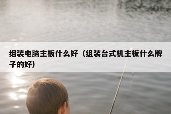 组装电脑主板什么好（组装台式机主板什么牌子的好）