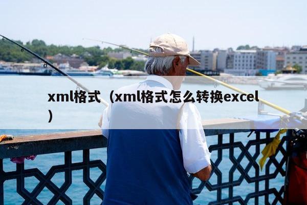 xml格式（xml格式怎么转换excel）