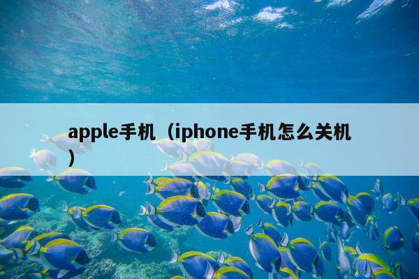 apple手机（iphone手机怎么关机）