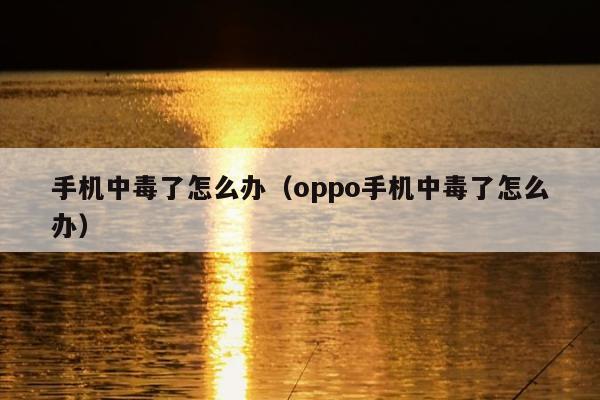 手机中毒了怎么办（oppo手机中毒了怎么办）