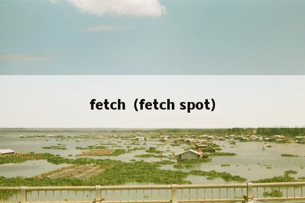 fetch（fetch spot）