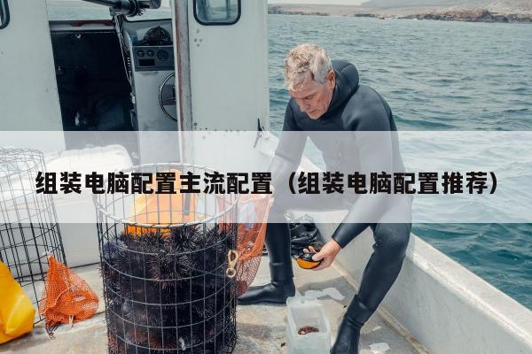 组装电脑配置主流配置（组装电脑配置推荐）