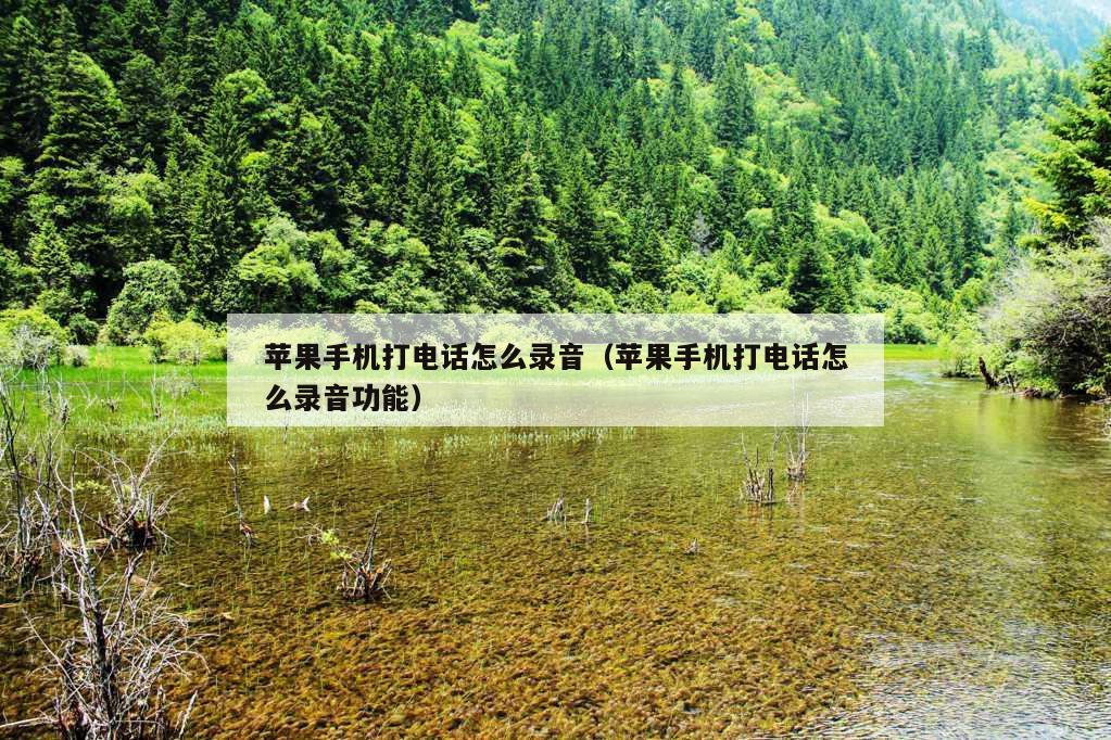 苹果手机打电话怎么录音（苹果手机打电话怎么录音功能）