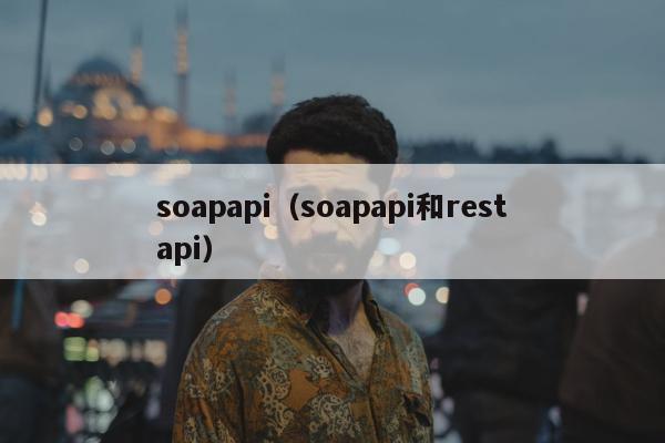 soapapi（soapapi和restapi）