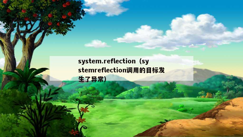 system.reflection（systemreflection调用的目标发生了异常）