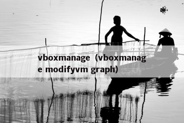 vboxmanage（vboxmanage modifyvm graph）