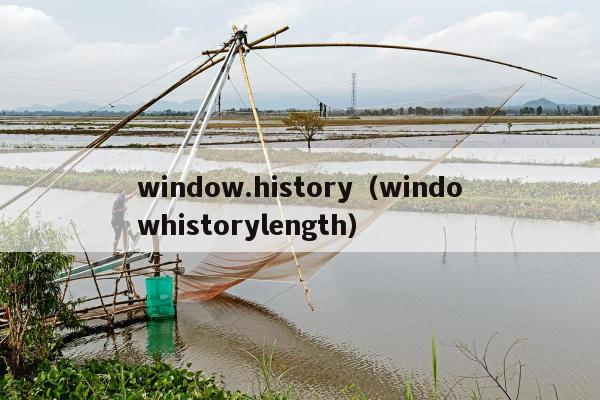 window.history（windowhistorylength）