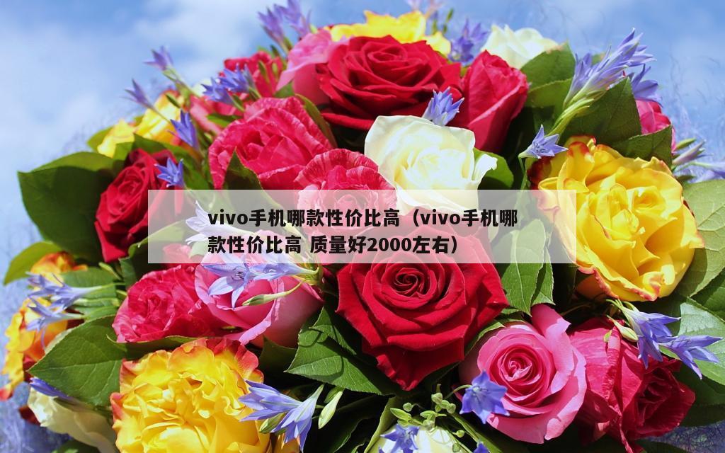 vivo手机哪款性价比高（vivo手机哪款性价比高 质量好2000左右）