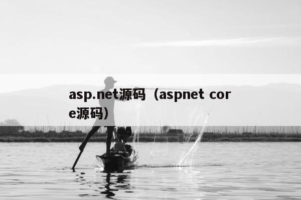 asp.net源码（aspnet core源码）